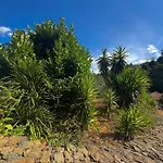 Quinta Sao Jose - Museu Do Triciclo Mesão Frio