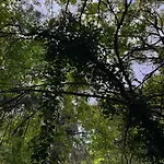 بيت للعطل Quinta Sao Jose - Museu Do Triciclo Mesão Frio