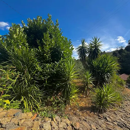 Quinta Sao Jose - Museu Do Triciclo Mesão Frio
