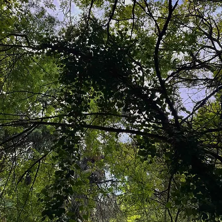 度假居 Quinta Sao Jose - Museu Do Triciclo 梅骚·弗里奥