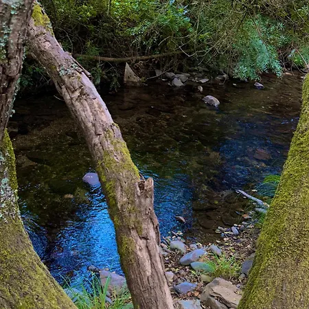 Quinta Sao Jose - Museu Do Triciclo *
