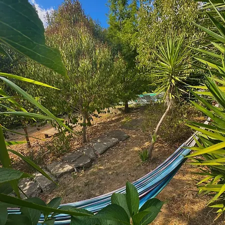 Quinta Sao Jose - Museu Do Triciclo * 梅骚·弗里奥