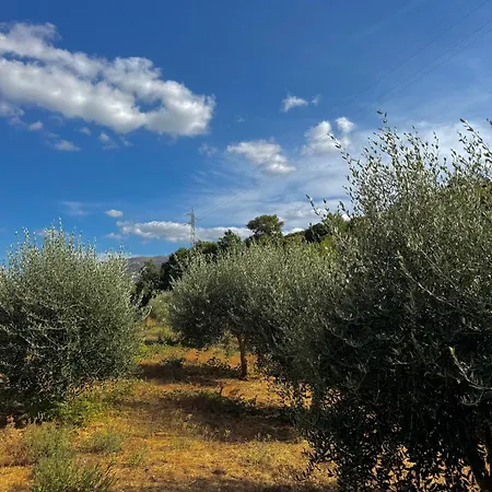Quinta Sao Jose - Museu Do Triciclo 度假居 *