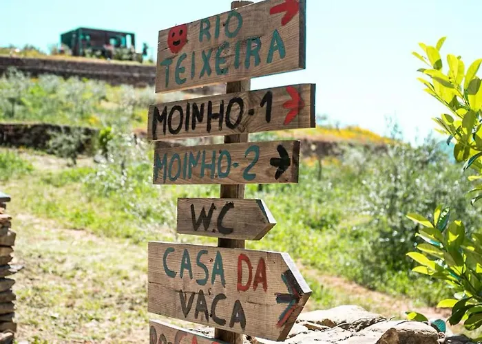 Quinta Sao Jose - Museu Do Triciclo Σπίτι διακοπών Mesão Frio