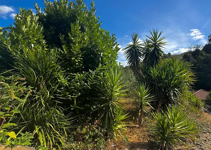 Quinta Sao Jose - Museu Do Triciclo Mesão Frio