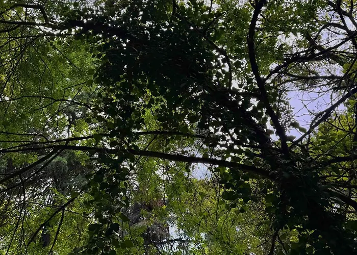 Σπίτι διακοπών Quinta Sao Jose - Museu Do Triciclo Mesão Frio