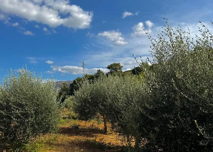 Quinta Sao Jose - Museu Do Triciclo Nyaraló *